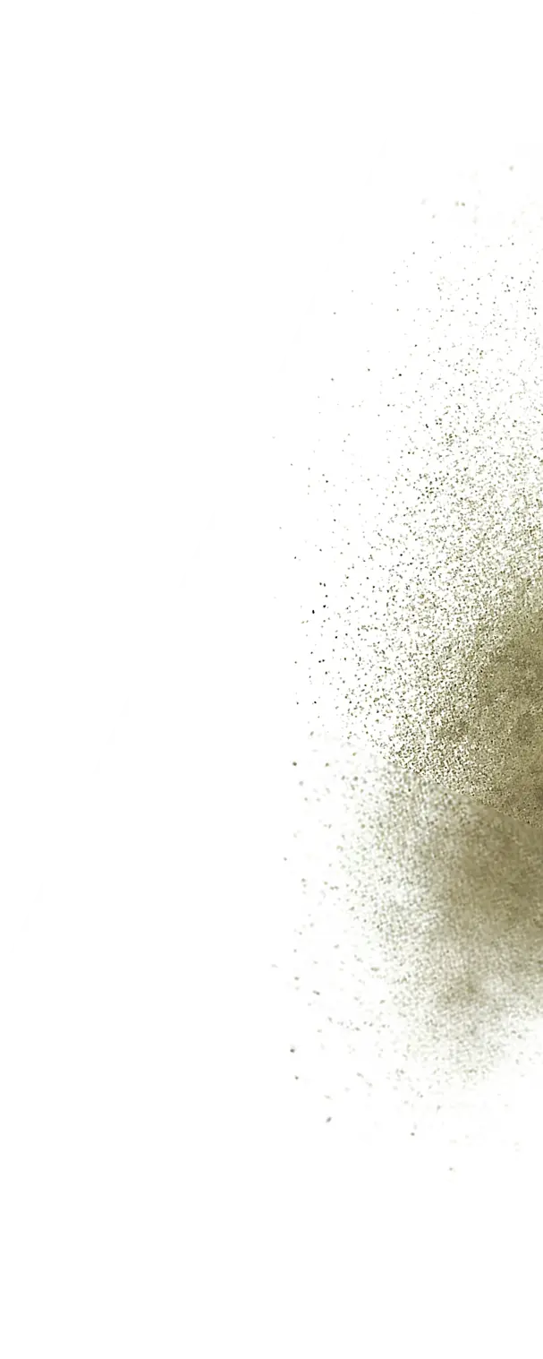 Decorative bottom right