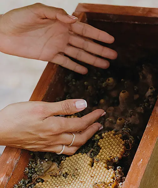A serene spa setting with candles and stones.