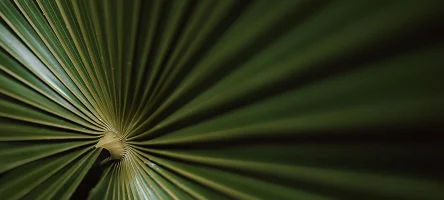 View of the pool and nature