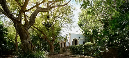 View of the pool and nature