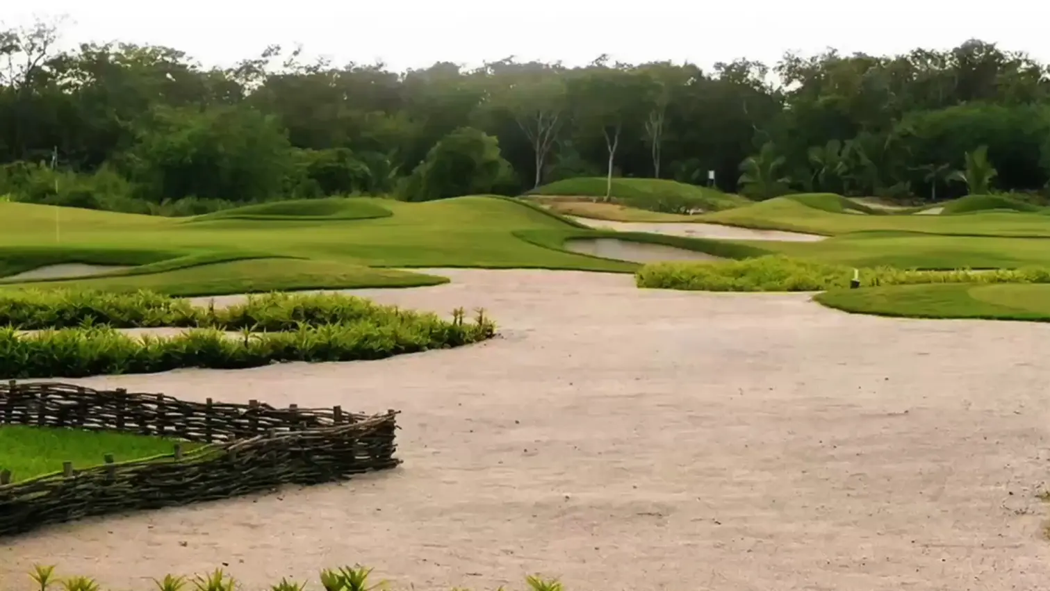 Wellness Golf background