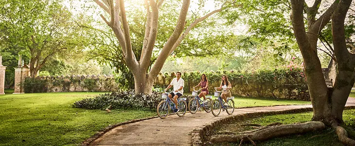 People riding bicycles in nature