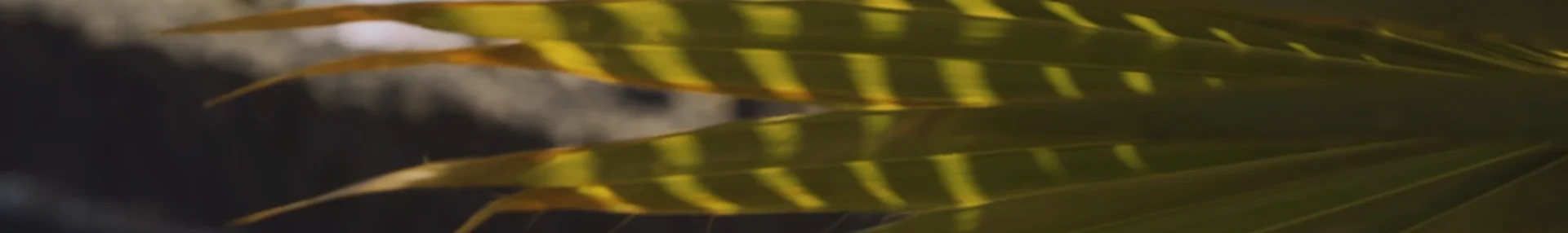 In the press background texture