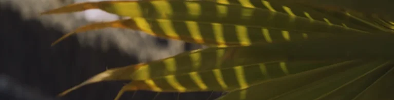 In the press background texture