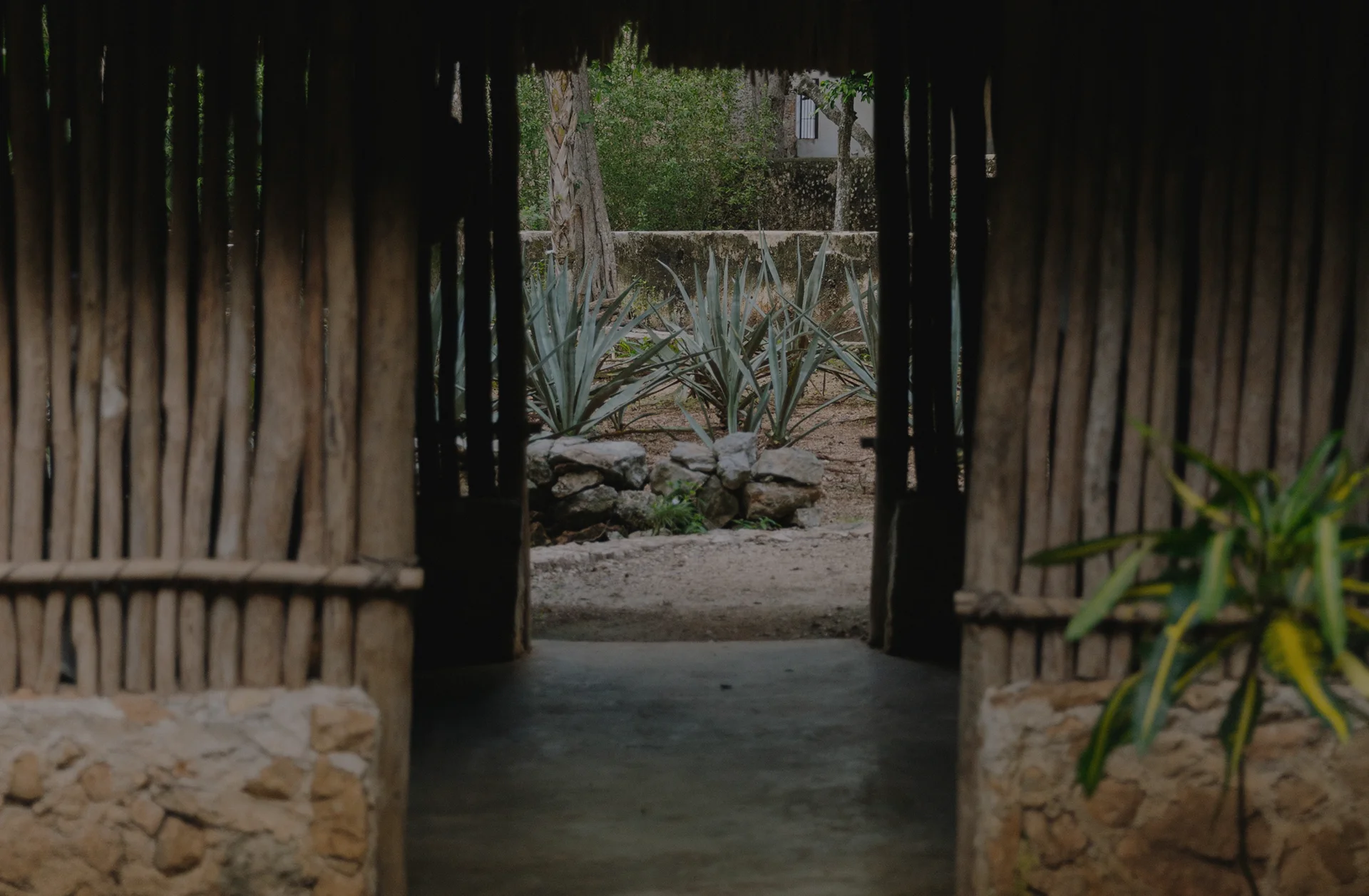 Casita Maya | Chablé Yucatán