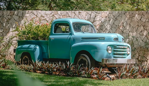 Abu's Farm – Granja de Abu