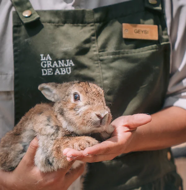 Abu's Farm – imagen 2